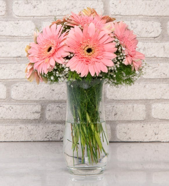 Konya Pembe Düşler Gerbera Aranjmanı
